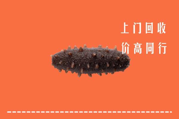 高价求购：重庆市回收海参