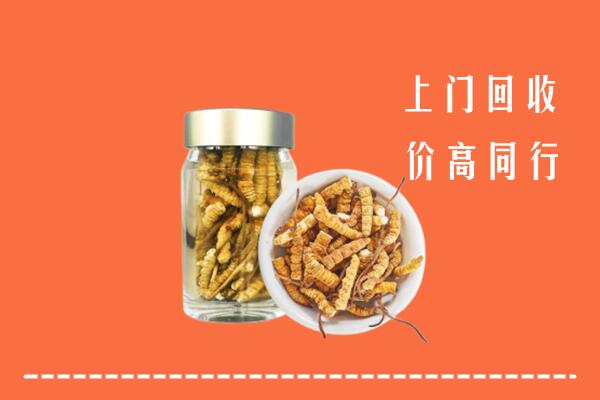 收购行情：重庆市回收冬虫夏草